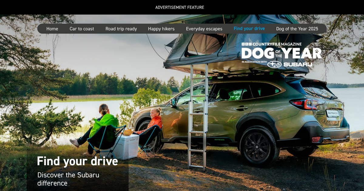 Suburu Driver Find your drive with Subaru